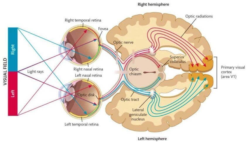 How spatial computing works: Twitter