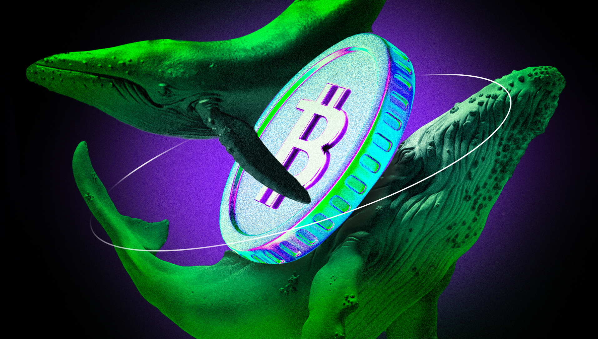 Bitcoin Whales HODL come nuovi segnali suggeriscono che il ciclo rialzista non è finito