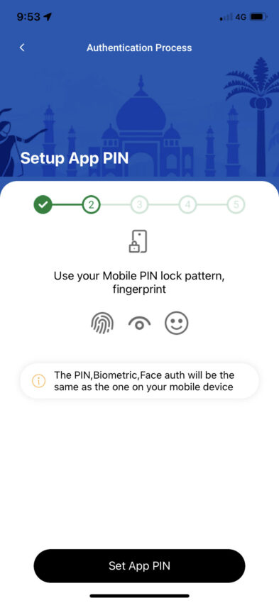 how to use digital rupee pin