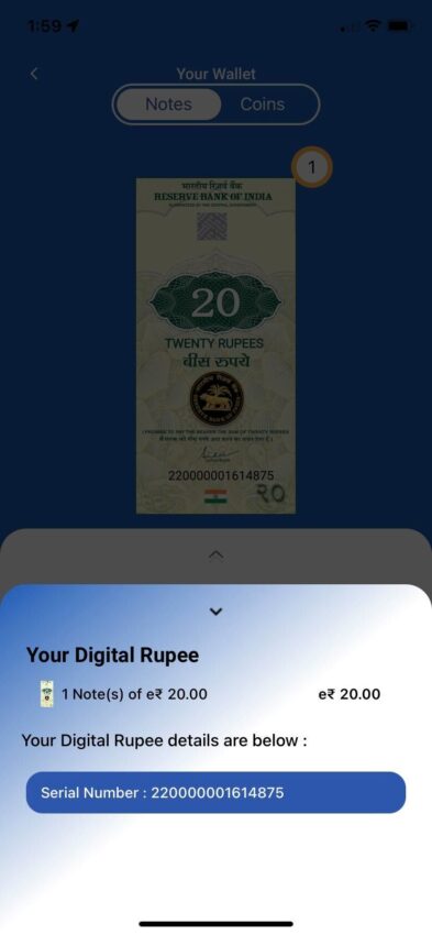 digital rupee screenshot