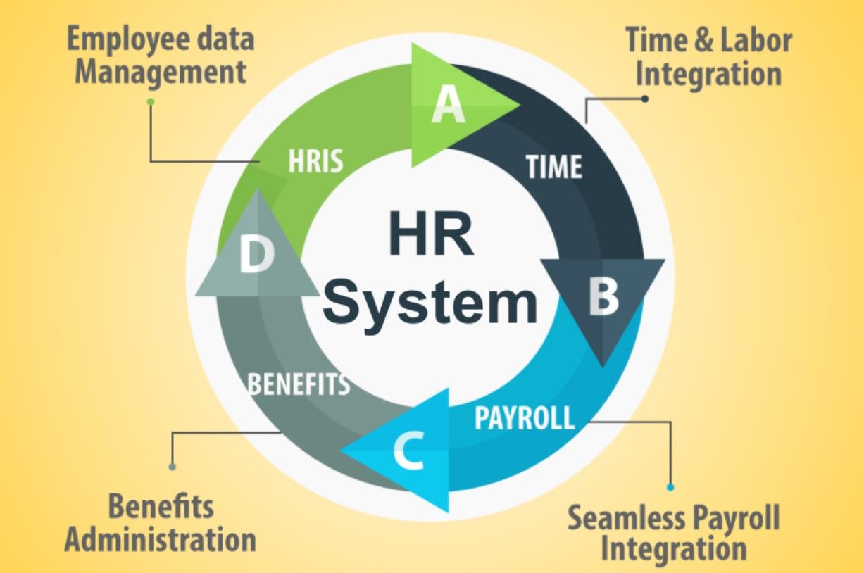 Hr система. Система Payroll. Payroll HR. Рынок HR систем. HR System System.