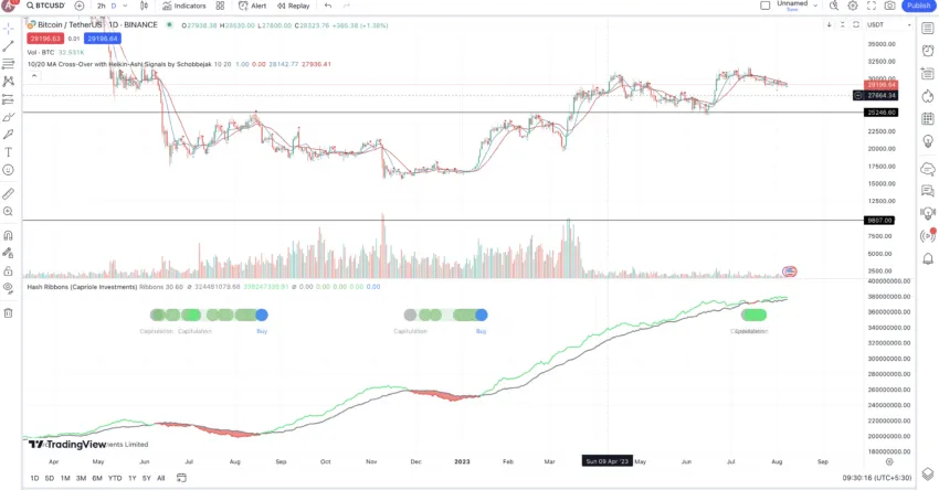 Hash ribbon and halving cycles: TradingView