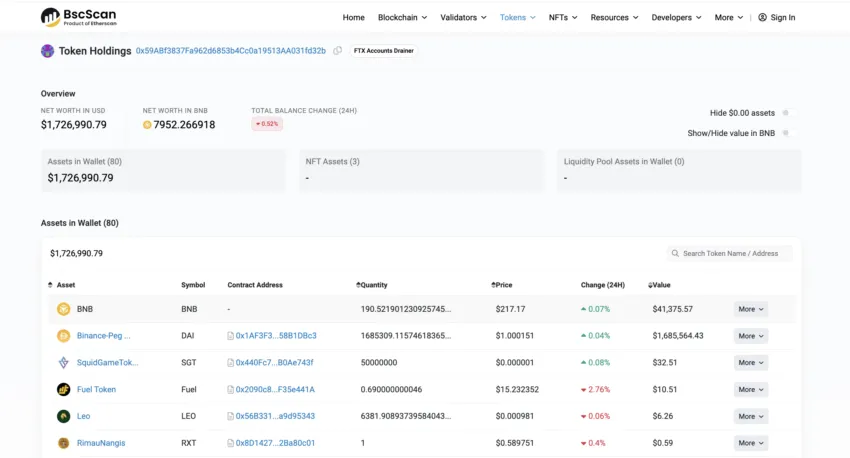BscScan token holdings