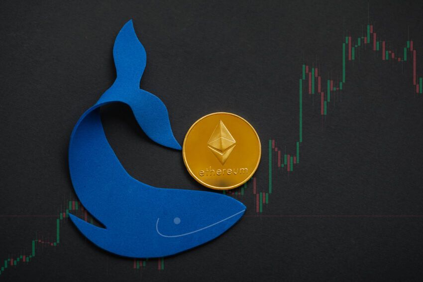 Ethereum ICO Whale Turned $19,000 to $113M, New ICOs to Watch