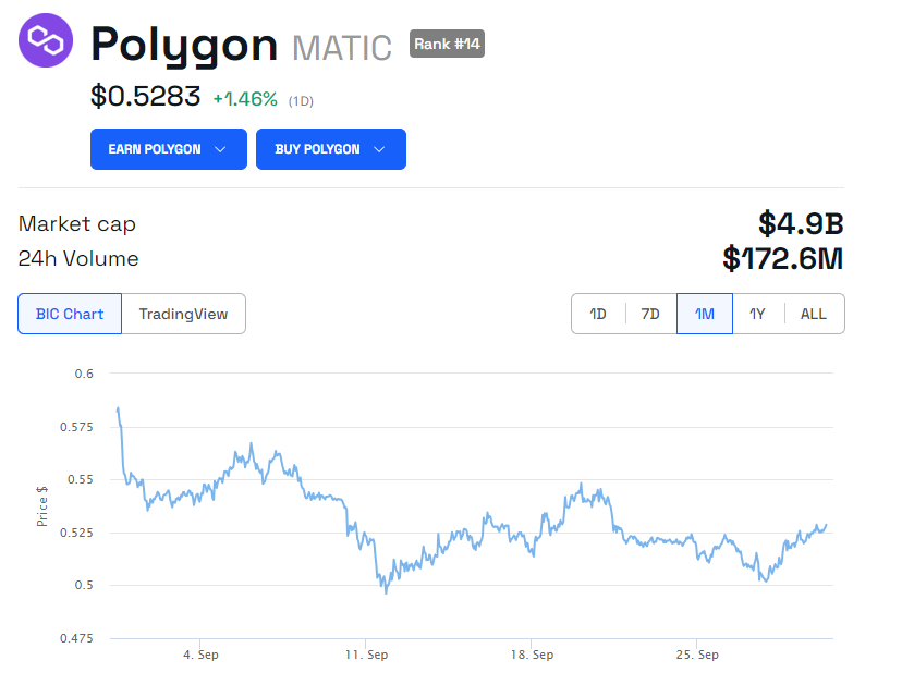 Polygonmatic Pricing