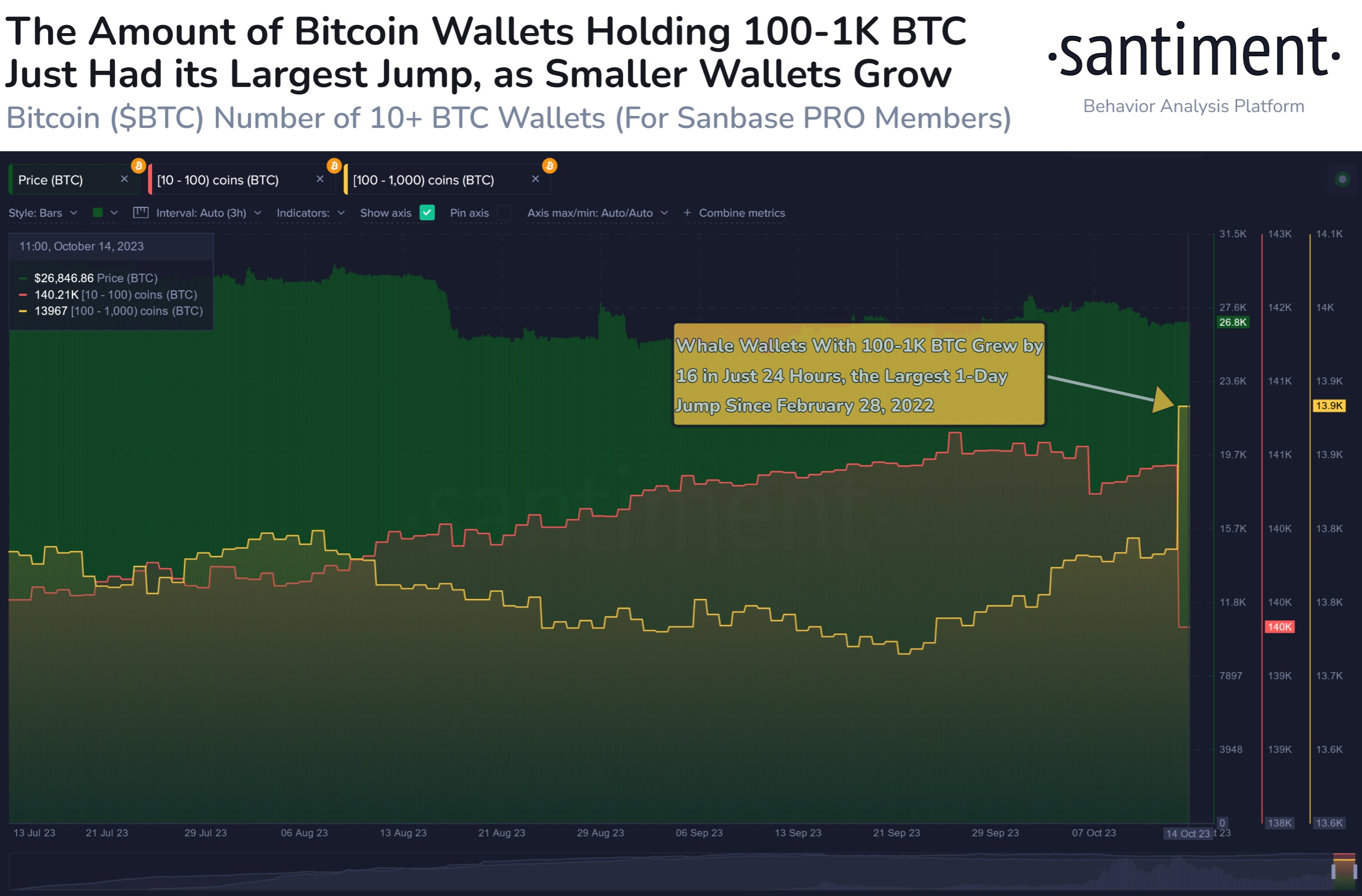 Bitcoin whales addresses