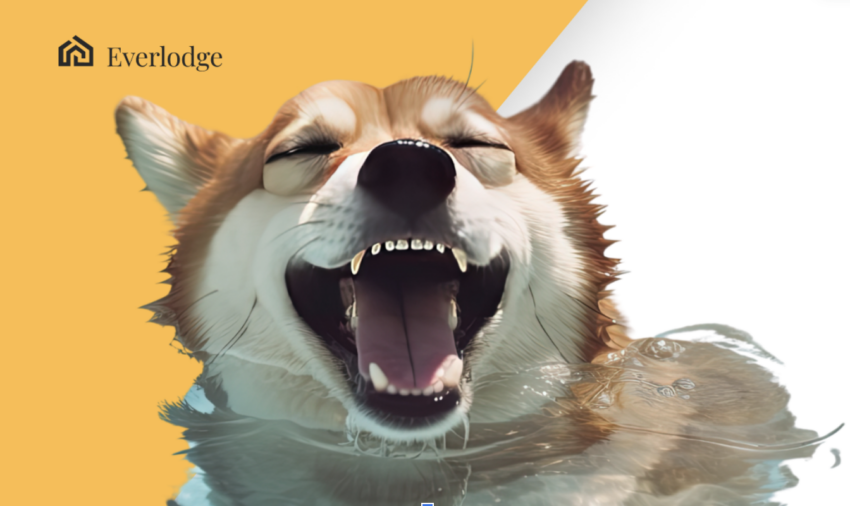 Ethereum and Everlodge Gaining Attention From Investors, Shiba Inu Announces Upcoming Developments