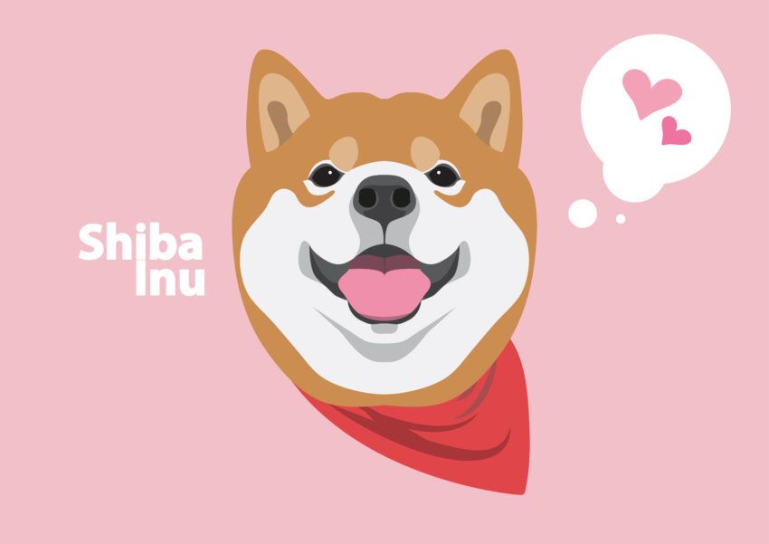 Missed out on Shiba Inu’s Rise? RBLZ Targets Replicating SHIB’s Success