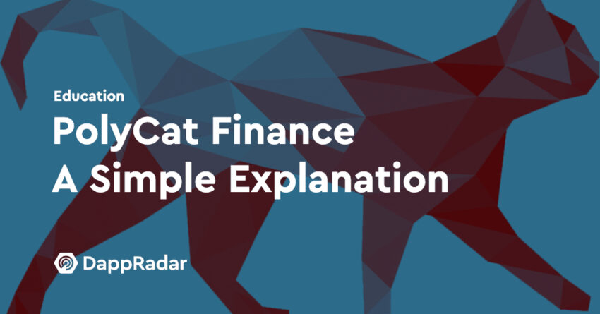 polycat finance a simple explanation cat walking education