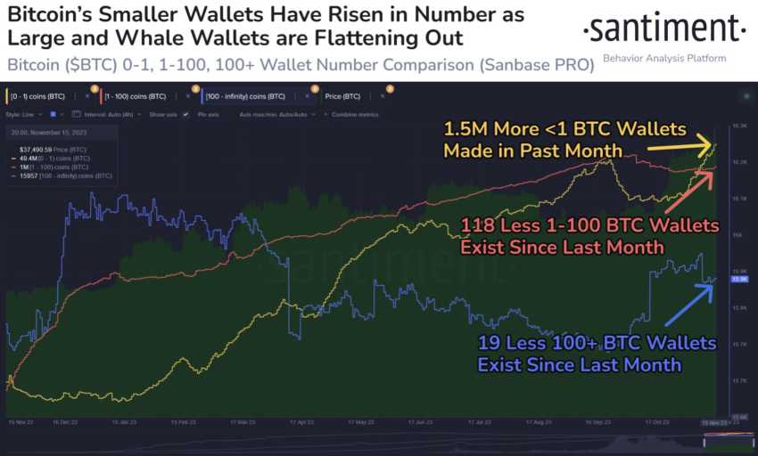 Monederos Bitcoin - Grandes y pequeños