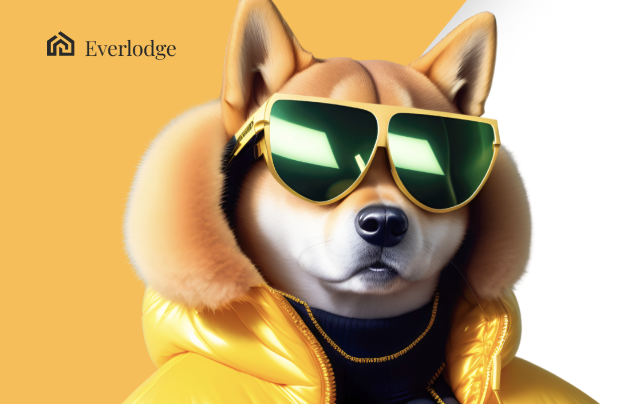 Shiba Inu (Shib) rivela una nuova entusiasmante rivista, il rally rialzista di Everlodge (Eldg) e Pepe (Pepe) continua