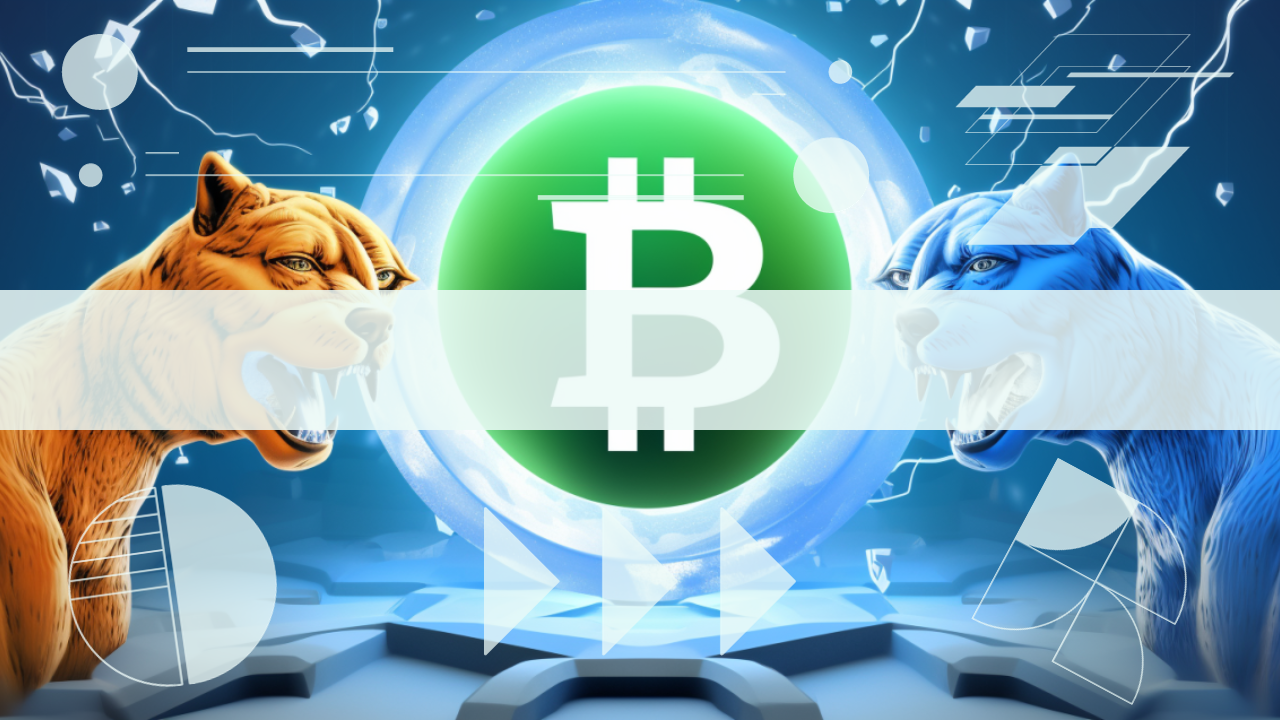 I trader lanciano avvertimenti ribassisti su Bitcoin mentre BTC affronta un ulteriore trend al ribasso: Meme Kombat può trarre vantaggio dai giochi crittografici?