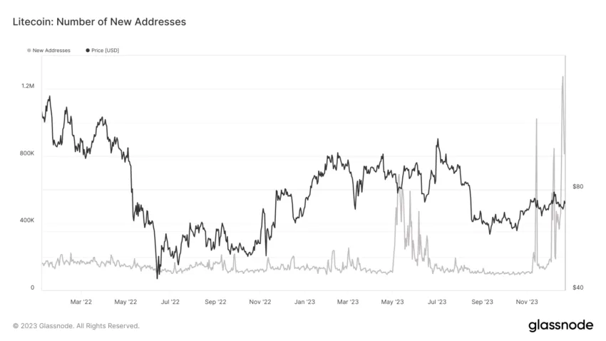 Number of new Litecoin LTC addresses. Source: Glassnode