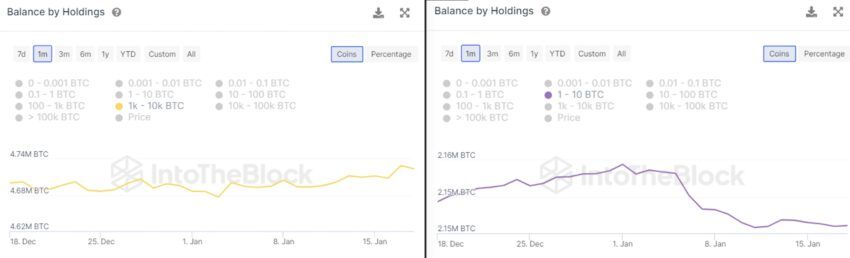 Balance by BTC Holdings
