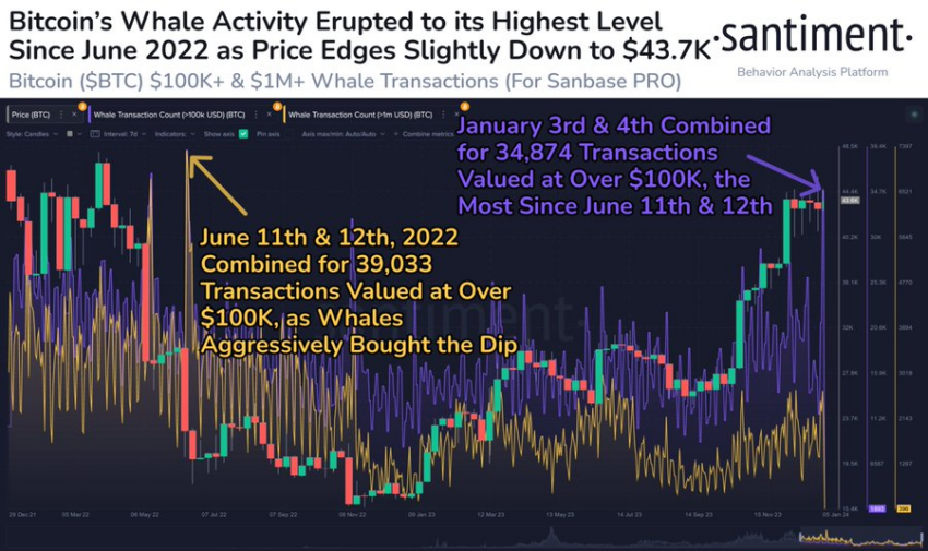 Why Analysts Expect a Spike in Bitcoin Price Volatility This Week