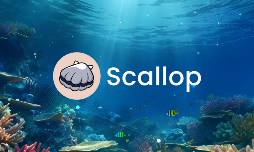 The Rise of Scallop Protocol on Sui: Advancing DeFi Innovations