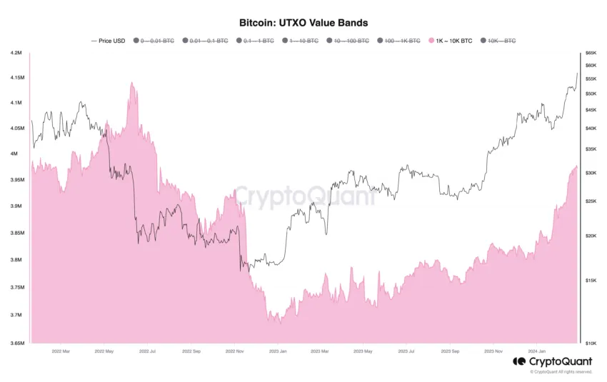 Bitcoin Holders' Balance