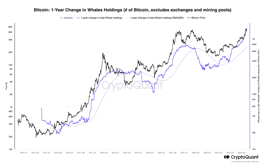 Bitcoin Whale Holdings