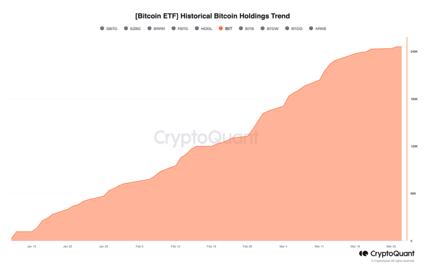 Participações em ETFs de Bitcoin da BlackRock