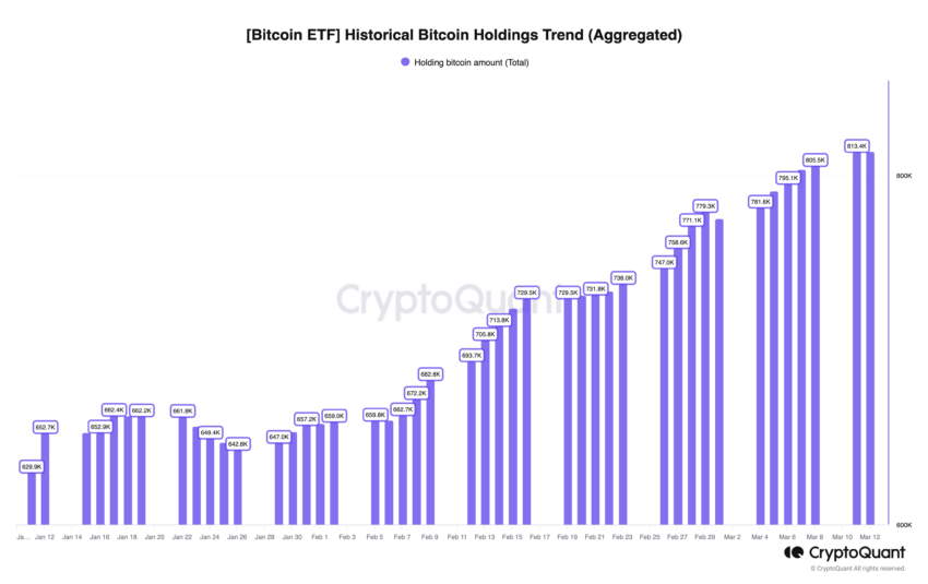 Bitcoin Spot ETFs Akkumulation