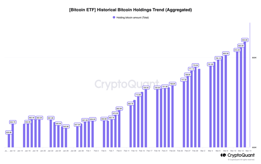 Bitcoin ETF-holdings