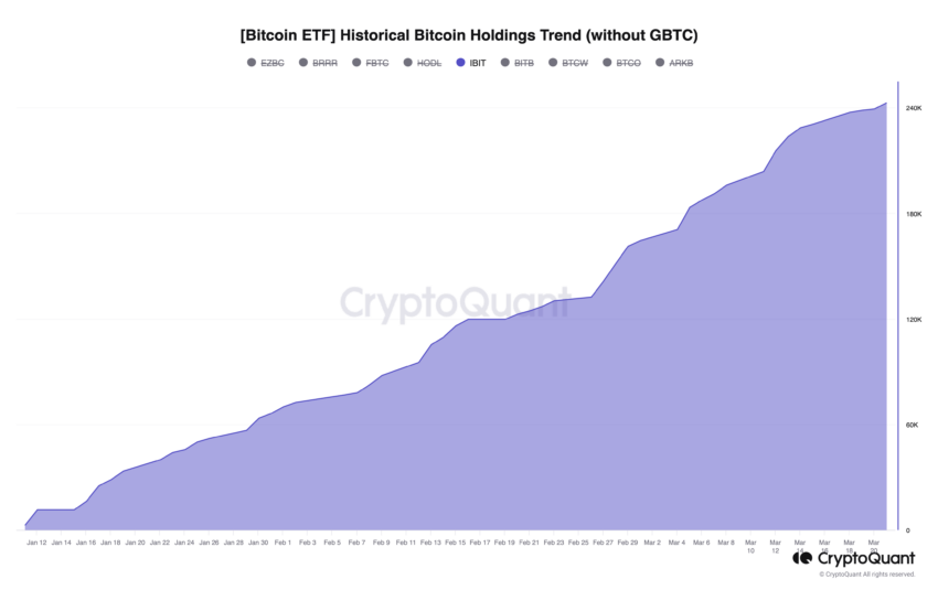 iShares Bitcoin ETF (IBIT) Holdings