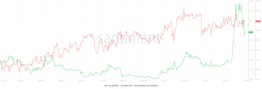 Dogecoin Whale Holding. 