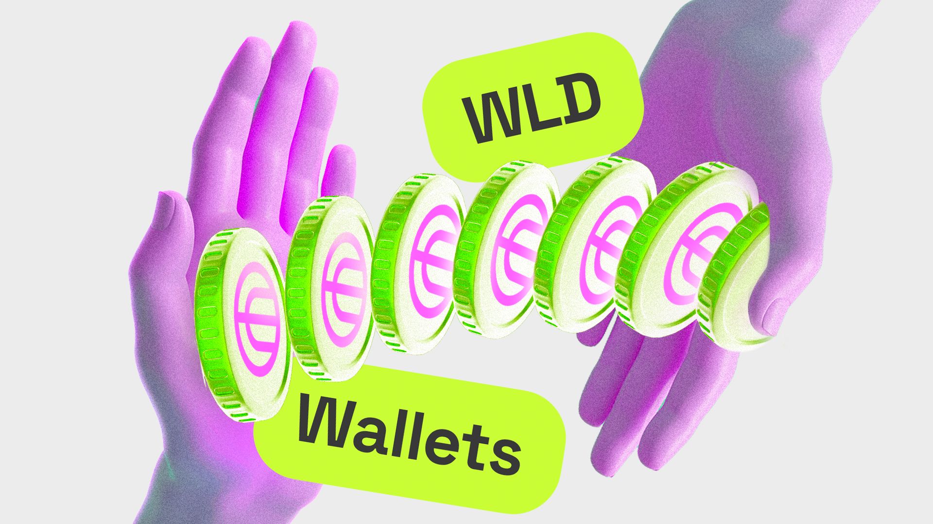 5-best-worldcoin-wld-wallets-in-2024