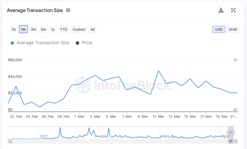 SHIB Average Transaction Size.