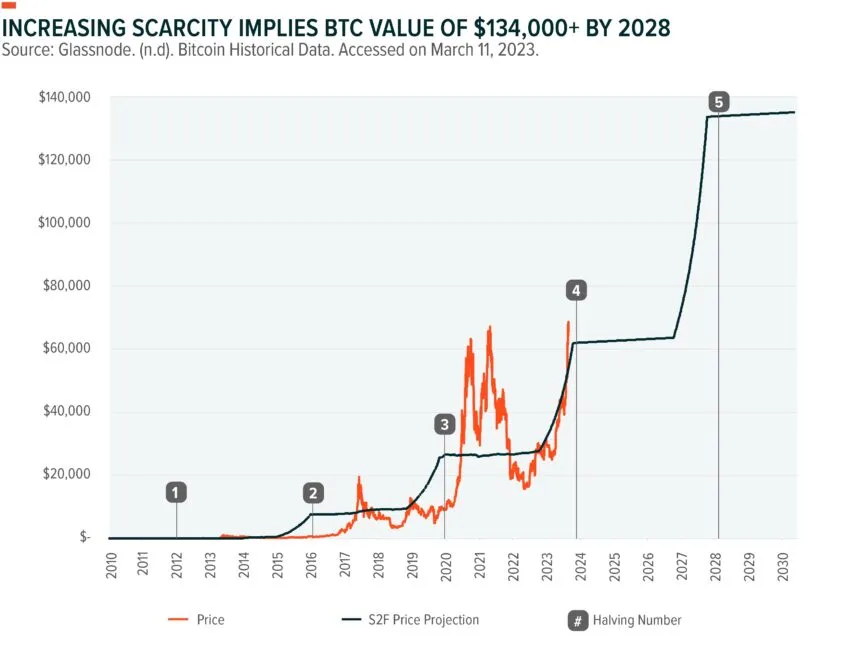 Bitcoin Stock-to-Flow Model