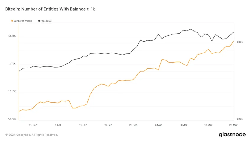 Addresses With At Least 1,000 BTC.