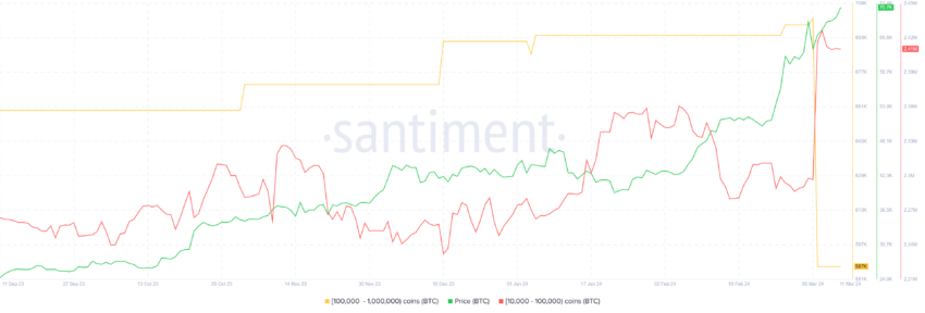 Bitcoin whale holdings