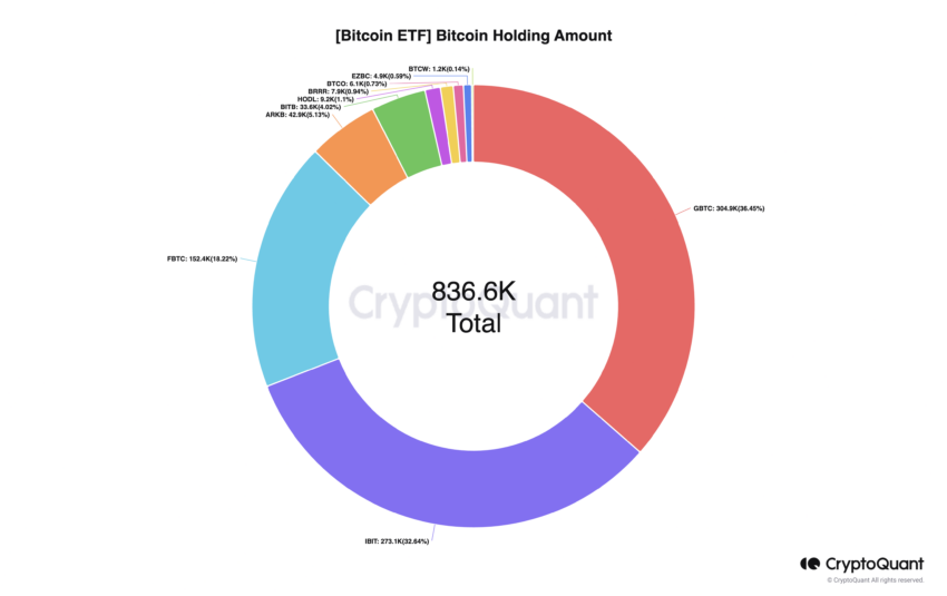 Quantidade de participações em ETFs de Bitcoin