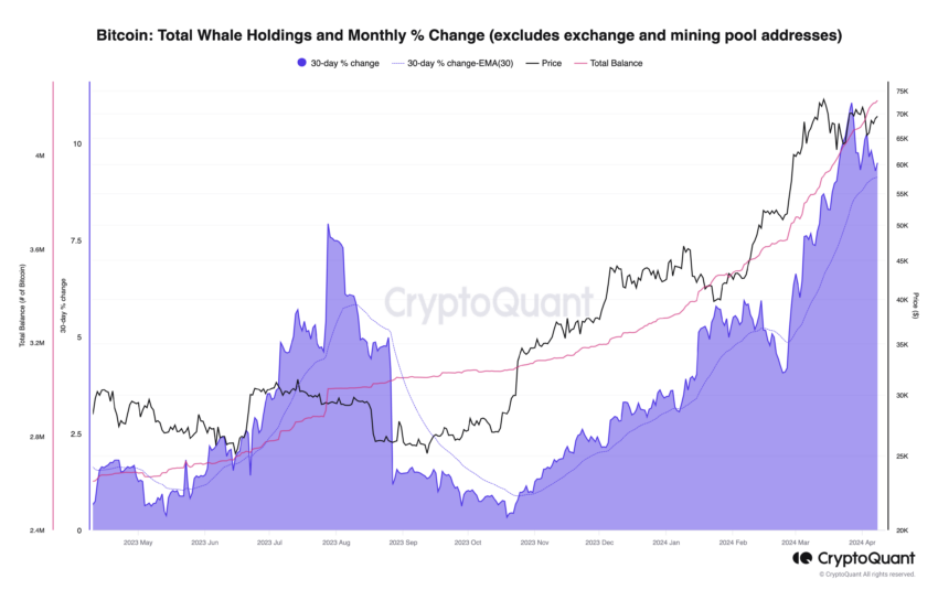 Bitcoin Whales Holdings
