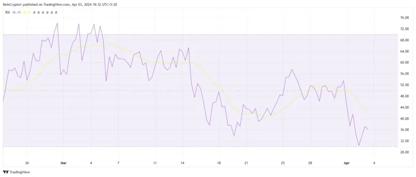 Polkadot RSI. 