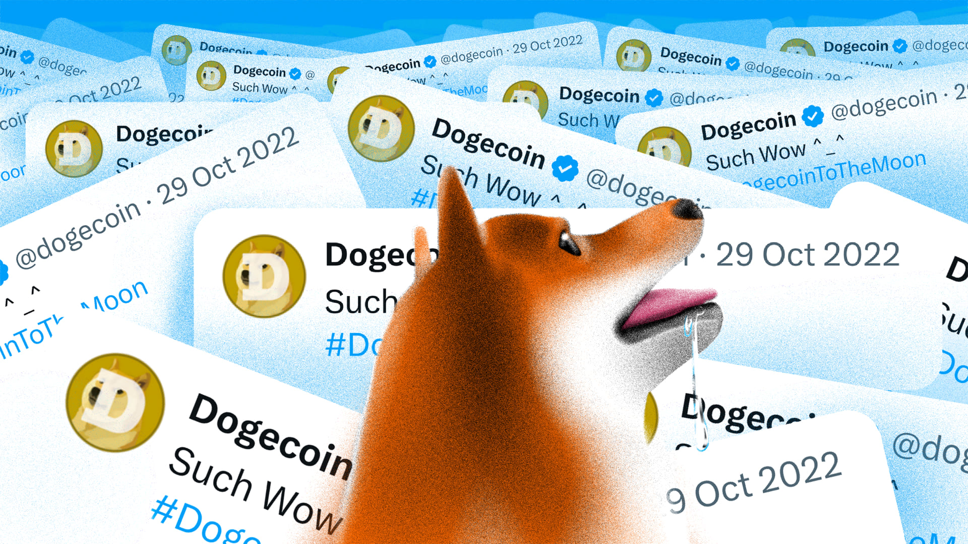 DogeChain は運営を停止します: 今すぐ Dogecoin (DOGE) を引き出します