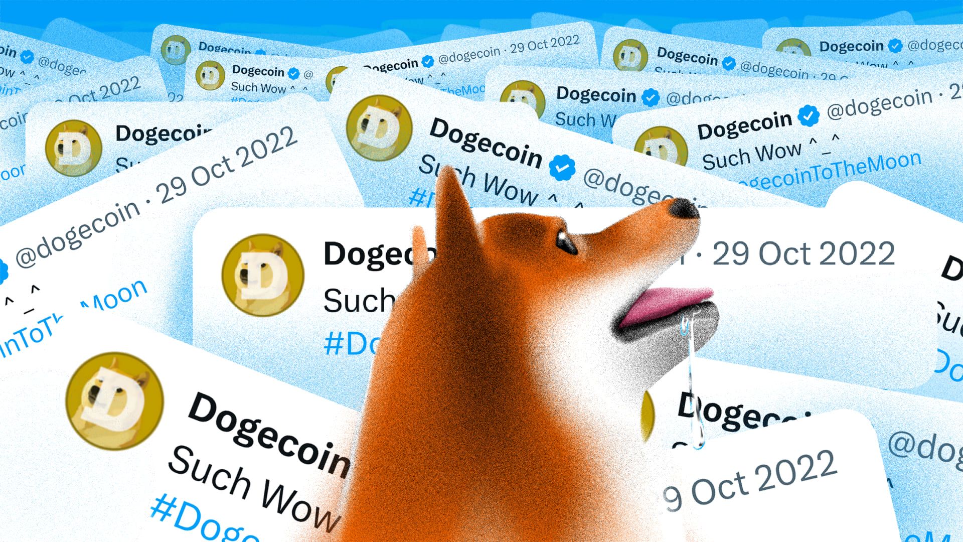 This Dogecoin DOGE Wallet Is Shutting Down