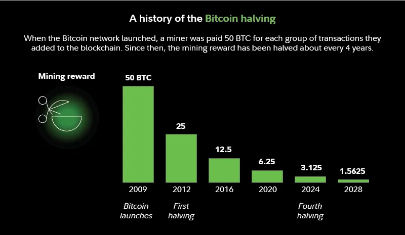 History of Bitcoin Halving