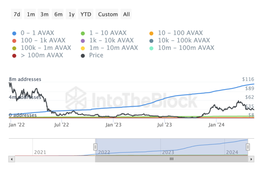 AVAX Holdings Distribution: IntoTheBlock