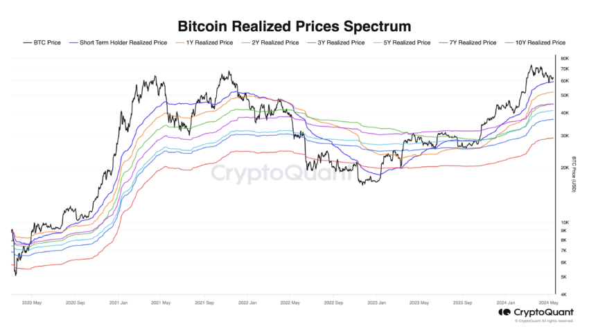 Spectrum of realized prices for BTC: CryptoQuant