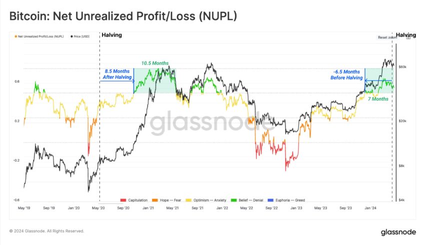 Bitcoin NUPL.