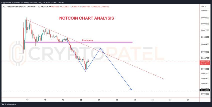 Notcoin (NOT) Price Analysis