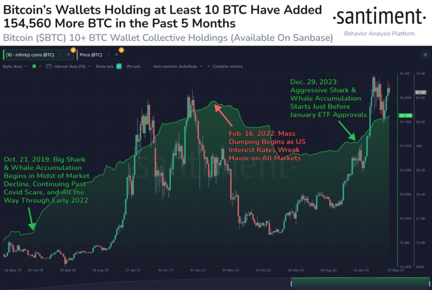 Accumulation of Bitcoin Wallets Holding at Least 10 BTC