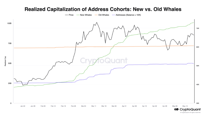 Realized Cap of Address Cohorts: CryptoQuant