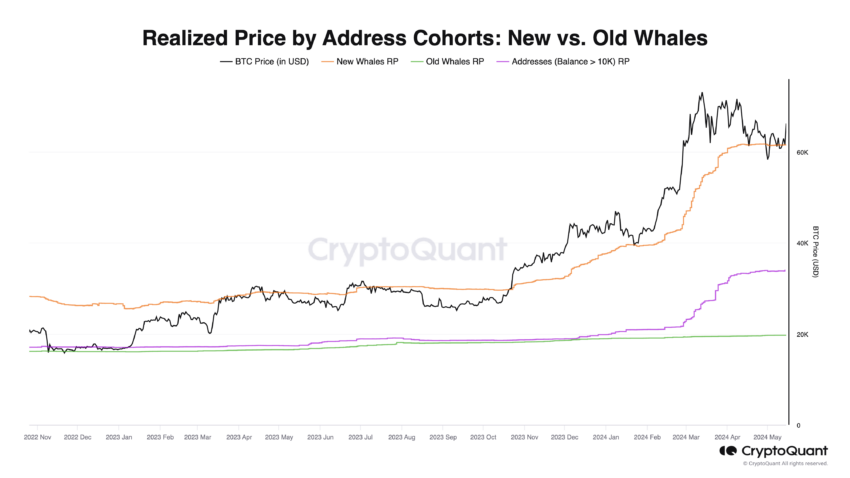Realized Price by Address Cohorts: CryptoQuant