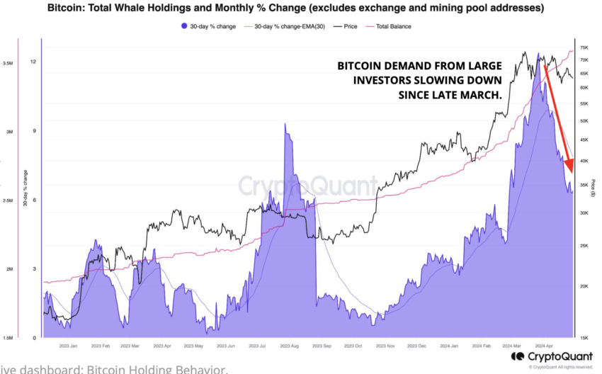 Prozentuale Änderung des Bitcoin Whale-Haltens