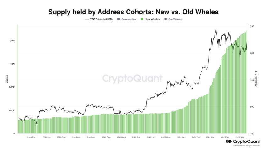 Supply Held By New Whales: CryptoQuant