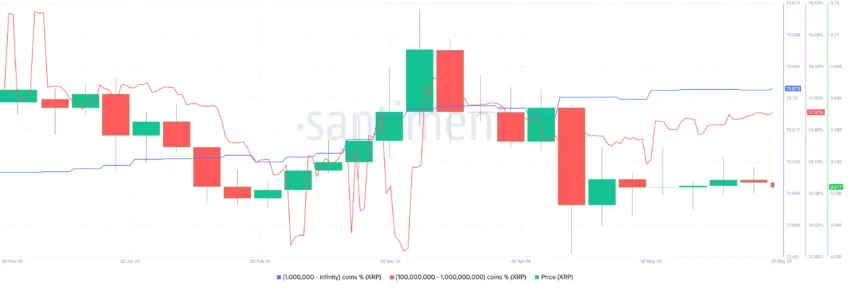 Tập đoàn cá voi XRP.