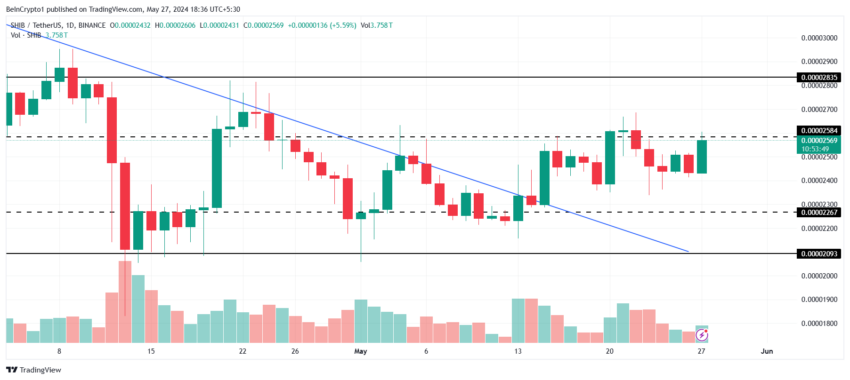 Shiba Inu Price Analysis. 