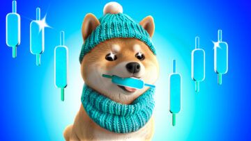 5 Best Dogwifhat (WIF) Wallets To Consider In  2024